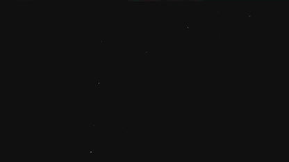 Fruit Diffusing Water Bottle